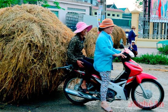 Vui mừng bán được hàng