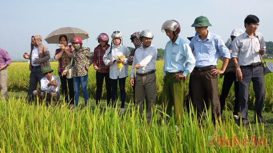 Các đại biểu tham quan mô hình