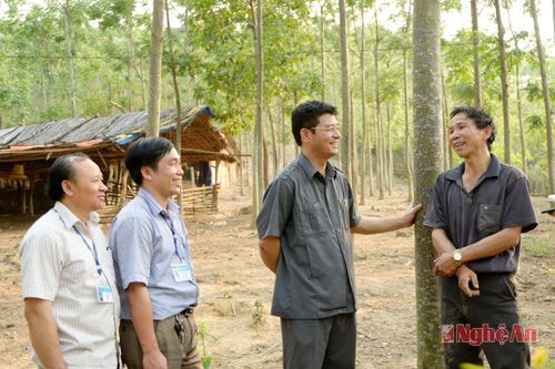 Lãnh đạo huyện Tương Dương thăm mô hình chăn nuôi kết hợp trồng rừng.