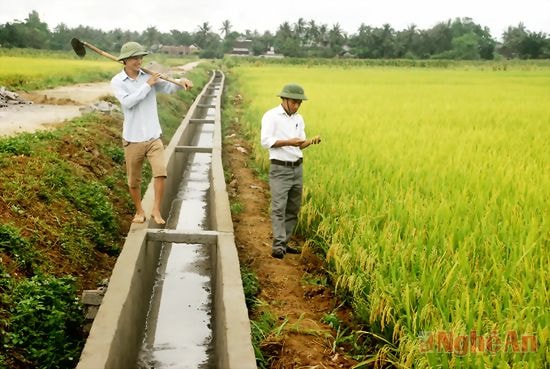 Bê tông hóa kênh mương nội đồng ở xóm 2, xã Diễn Mỹ.