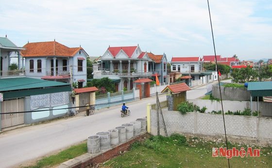 Một góc xã Quỳnh Đôi (Quỳnh Lưu). Ảnh: Nguyễn Bá Phương
