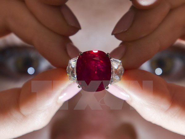 Chiếc nhẫn gắn viên hồng ngọc Bình minh được trưng bày tại cuộc họp báo của Sotheby’s ở thủ đô London, Anh ngày 8/4/2015. (Ảnh: AFP/TTXVN)