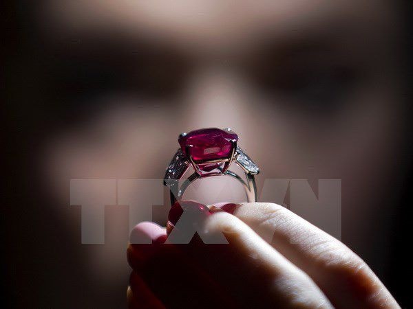 Chiếc nhẫn gắn viên hồng ngọc Bình minh được trưng bày tại cuộc họp báo của Sotheby’s ở thủ đô London, Anh ngày 8/4/2015. (Ảnh: AFP/TTXVN)