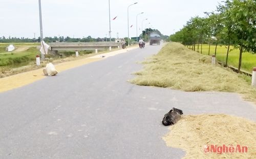 Do đường bị lẫn chiếm một người phụ nữ đi xe máy phải dừng lại nhừng đường cho  phương tiện ô tô lưu thông