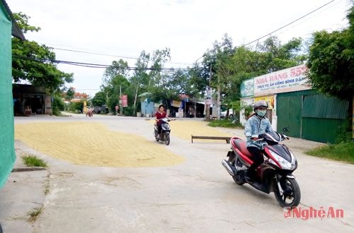 Đường rộng nhưng chỉ có một lỗ nhỏ giành cho người đi xe máy ( hình ảnh tại ngã tư xã Hưng Tân)