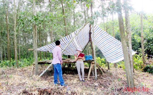 Lán trại của một hộ dân mới được dựng lên trên đất Nhà nước đã thực hiện thu hồi (ảnh trên).