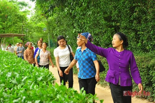 Về thăm quê nội Bác Hồ. Ảnh: Trần Hải