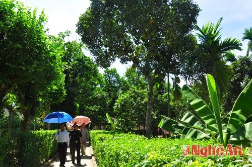 Lối vào nhà cụ Nguyễn Sinh Nhậm, ông nội Bác Hồ. Thủa niên thiếu, Bác thường qua đây chơi và dâng hương tưởng niệm ông bà nội. Cụ Nguyễn Sinh Khiêm ,anh cả của Bác