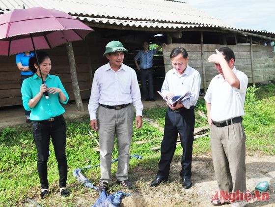 Đoàn khảo sát việc bàn giao đất cho người dân tại xã Châu Bình