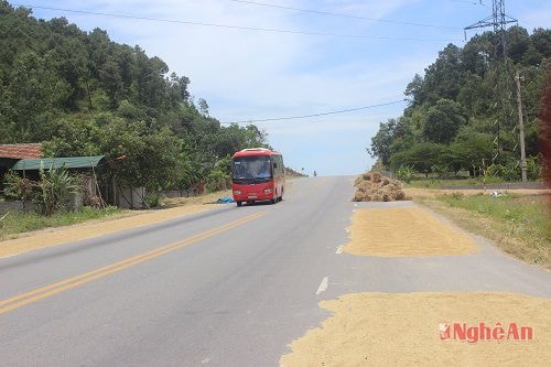 Lúa phơi trên cả 2 phần đường khiến lòng đường bị thu hẹp