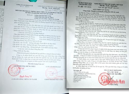 Đơn xin thanh lý cây của Công ty CP GLD và giấy phép của UBND TP. Vinh cho phép Công ty CP GLD thanh lý, di chuyển, trồng thay thế cây xanh.