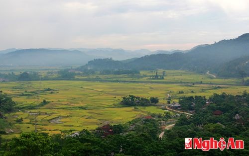 Trên những thửa ruộng bậc thang hay những cánh đồng nhỏ ở giữa các thung lũng lúa chín vàng như tấm thảm khổng lồ.