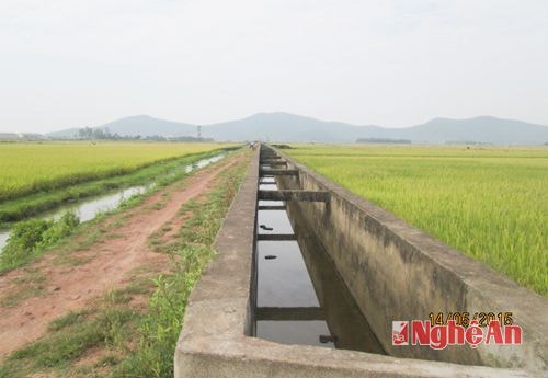 Kênh mương nội đồng ở xã Nghi Tiến được đầu tư phục vụ tốt  cho sản xuất.