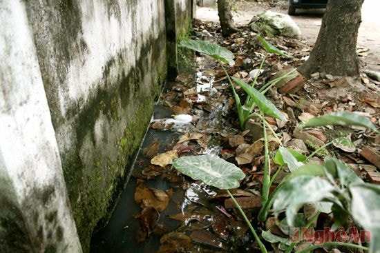 Nước thải ứ đọng trên đường Nguyễn Quốc Trị (khối 20, phường Hưng Bình, TP. Vinh).