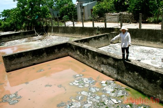 Ao chứa nước thải đen đặc, bốc mùi tại xóm Ngọc Văn (xã Diễn Ngọc, Diễn Châu).