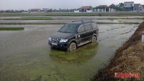 Xe ô tô lao xuống ruộng khoảng 100m.