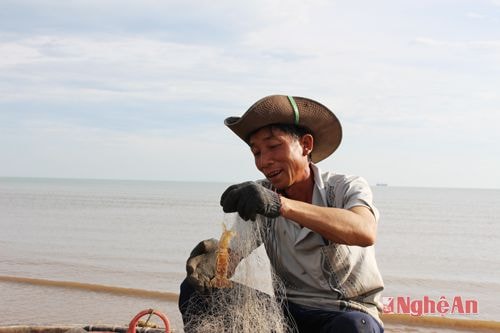 Niềm vui của ngư dân sau một đêm “bội thu” tôm, cá trở về. Dịp hè này, trung bình mỗi ngày ra khơi, ngư dân Lê Nhữ Tài ( Khối Hải Bằng 2- Phường Nghi Hoà) thu được khoảng trên 5 kg tôm tít và vài kg Ghẹ… ước chừng khoảng 300 – 500 nghìn đồng.