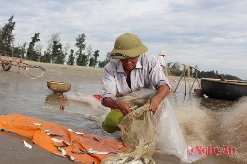 “Dẫu nghề đi biển cũng lênh đênh như những con sóng, có ngày bội thu nhưng có những ngày biển động, phải về không; chưa kể không ít lần thuyền chúng tôi gặp bất trắc khi gặp sóng to, gió lớn. Thế nhưng với ngư dân, biển là cuộc sống. Nghề biển đã giúp chúng tôi đảm bảo cuộc sống và có thu nhập để  nuôi 4 người con khôn lớn…Đã gần 30 năm gắn bó với biển cả, ngược sóng, gió riết rồi quen nên dù đã xấp xỉ 70 nhưng  ngày nào thuyền không ra khơi tôi “chồn” chân lắm” – ngư dân Nguyễn Văn Hoà (phường Nghi Hoà) tâm sự