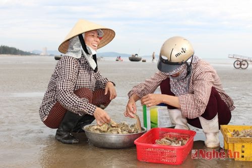 Đàn ông làng biển ra khơi, vào lộng, còn chị em phụ nữ thì phụ giúp bán các loại hải sản vừa “thu hoạch” được. 