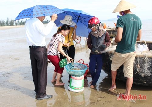 Khách du lịch thường tìm đến bãi biển Cửa Hội để chọn mua hải sản ngon đang còn “mắc lưới” vào mỗi sáng sớm