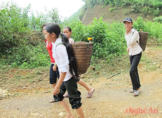 Ngày hè của trẻ em miền núi gắn liền với cuộc mưu sinh.