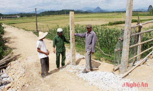 Đường xuống phà Tri Lễ có nguy cơ bị chặn khi nhà máy đã đóng cọc  và chuẩn bị rào thép gai.