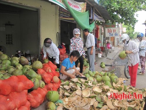 Dừa tươi là nước giải nhiệt được người tiêu dùng lựa chọn nhiều nhất trong những ngày nắng nóng này. Hiện giá dừa đã tăng thêm khoảng 3.000 đồng/quả, đẩy giá dừa từ lên 20.000 – 22 000 đồng/quả.