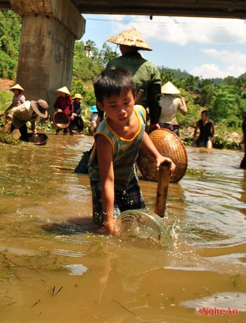 Trẻ em bản Nà Cọ (Bình Chuẩn - Con Cuông) bắt cá suối.