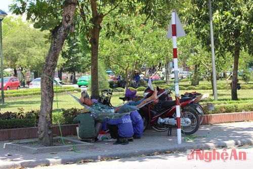 Những lao động tự do tìm bóng râm ‘trốn’ nắng lúc chờ việc (ảnh chụp tại khu vực ngã 5 Tp Vinh)