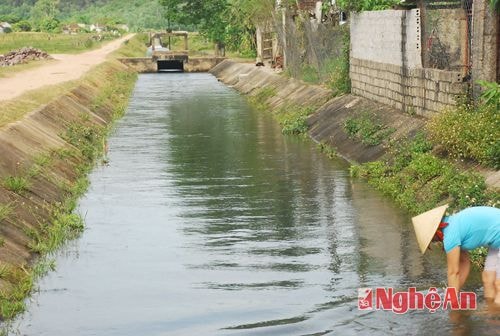 Kênh chính của xã Diễn Phú (Diễn Châu) dẫn nước từ hồ Xuân Hương tỏa đi khắp 23 xóm.Ảnh: Thu hương