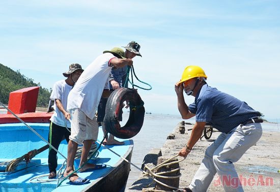 Tàu cá cập cảng Lạch Quèn