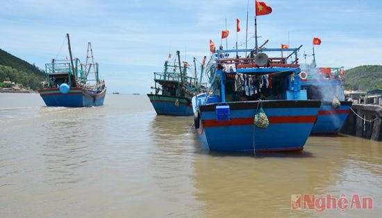 Đoàn tàu đánh vây của ngư dân huyện Quỳnh Lưu.
