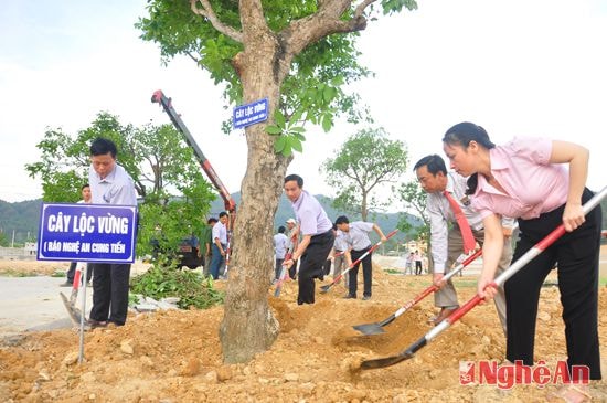 Lãnh đạo Báo Nghệ An cung tiến, trồng cây lưu niệm trong khuông viên Khu di tích Truông Bồn