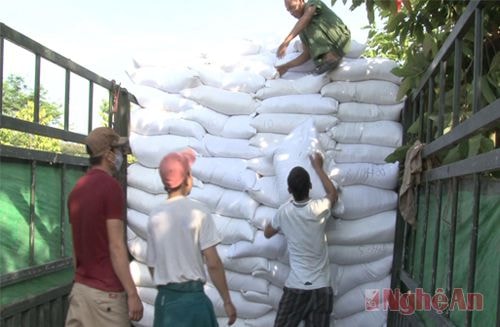 Đợt này huyện Quế Phong được nhận hơn 238.000kg gạo