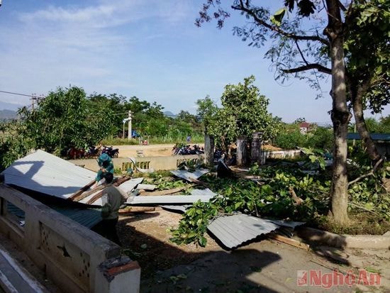 Lốc xoáy cũng đã làm nhiều cây xanh bị gãy đổ