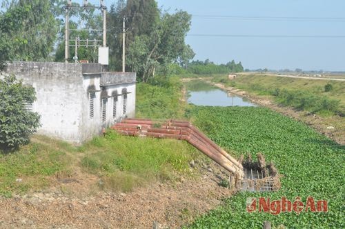 Trạm bơm ở Hưng Nguyên hoạt động khó khăn vì thiếu nguồn nước