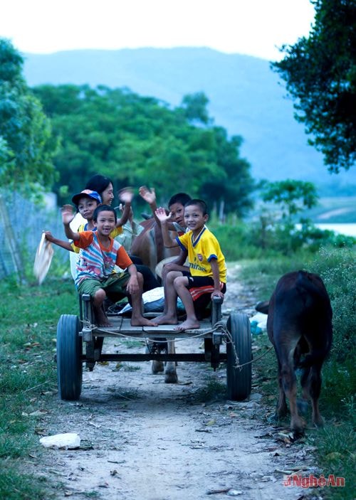 Ngày hè ở quê.Ảnh: T.C