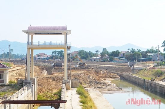 Thi công phần hạ lưu kênh dẫn tại cống Nam Đàn mới.