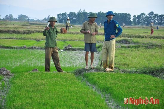 Người dân