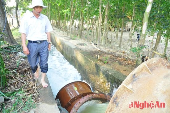 Nước