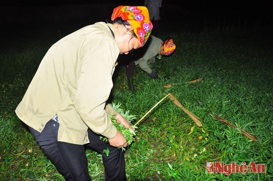 Người dân