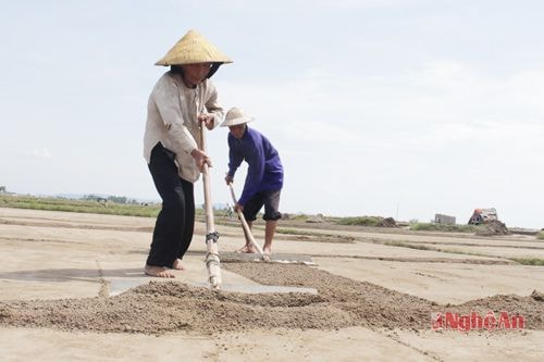 Người dân Diễn Kim nhiều đời nối tiếp nhau làm muối