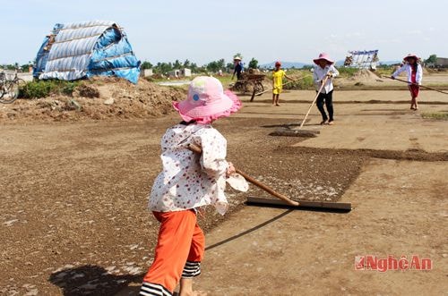 Trên cánh đồng muối nhiều đứa trẻ có những ngày hè thật vất vả