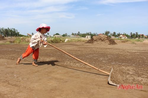 Em Trần Thị Hoài, 7 tuổi ở xóm 7, xã Diễn Hải giúp bố mẹ trang cát