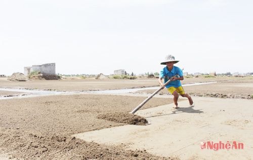 Tuổi thơ vùng diêm nghiệp đều diễn ra trên cánh đồng muối