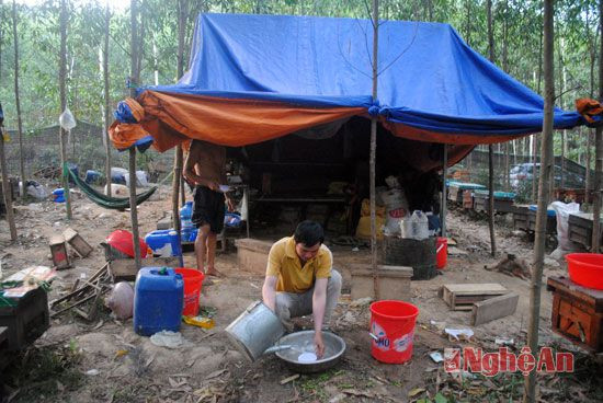 Nghề nuôi ong dạo chấp nhận cuộc sống sinh hoạt hàng ngày tạm bợ, thiếu thốn nơi đất khách quê người.