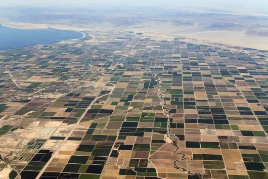 Nông nghiệp chiếm đến 80% lượng nước ở bang California, ảnh Reuters.
