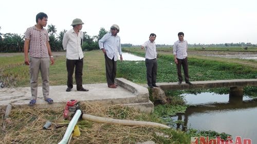 Xí nghiệp thủy lợi Quỳnh Lưu kiểm tra nguồn nước ở các kênh, hồ đập tại xã An Hòa