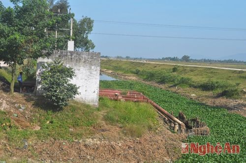 Trạm bơm chuyền 12- 9 Hưng Nguyên bơm nước chống hạn