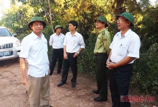 Lãnh đạo huyện kiểm tra PCCC rừng tại xã Quỳnh Tân